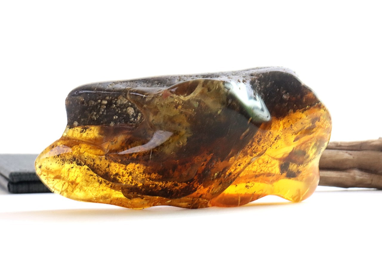 40 Million-Year-Old Baltic Amber Gemstone