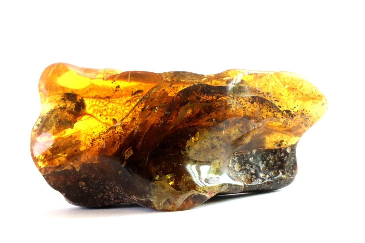 40 Million-Year-Old Baltic Amber Gemstone