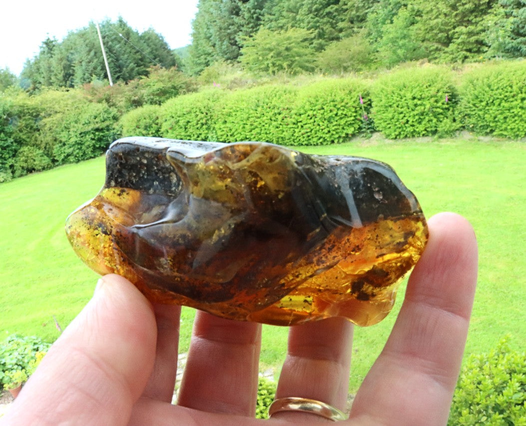 40 Million-Year-Old Baltic Amber Gemstone