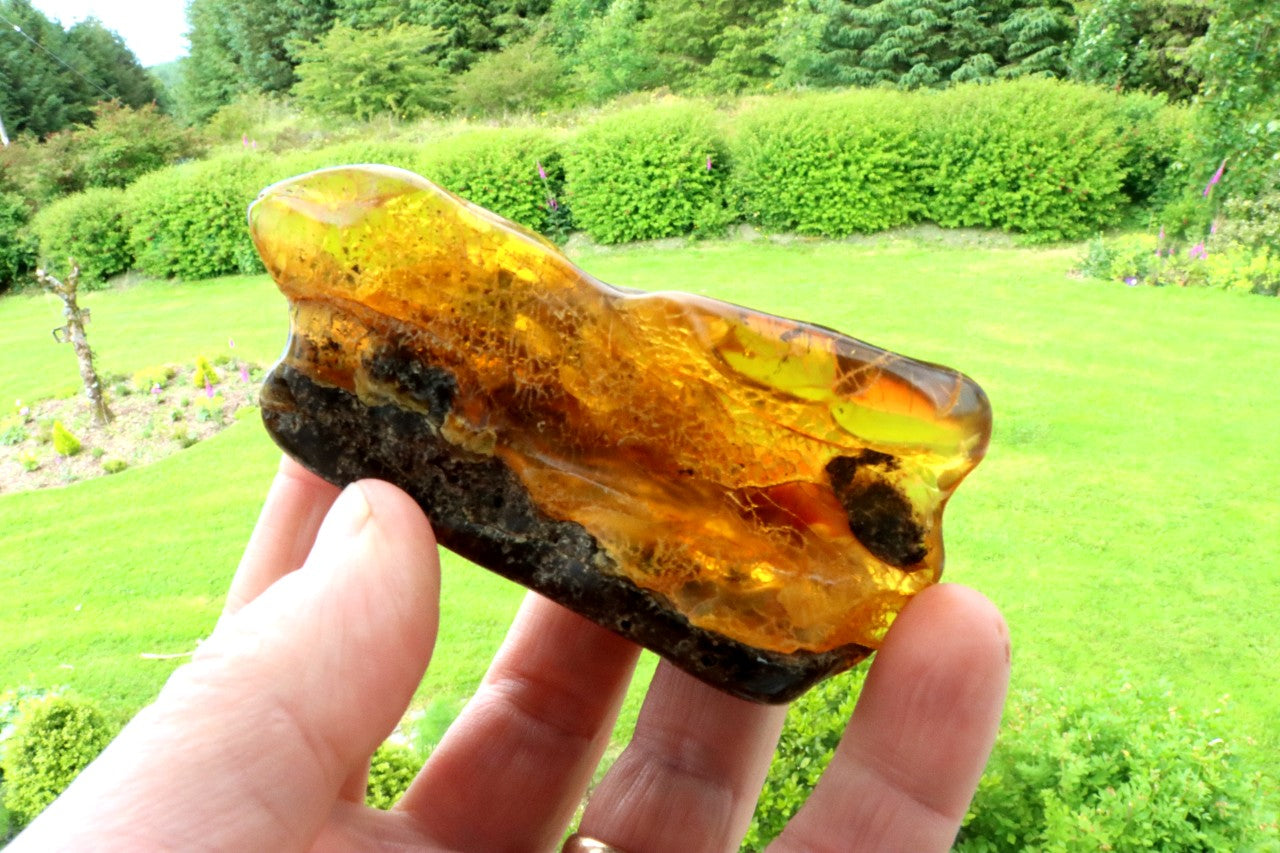 40 Million-Year-Old Baltic Amber Gemstone