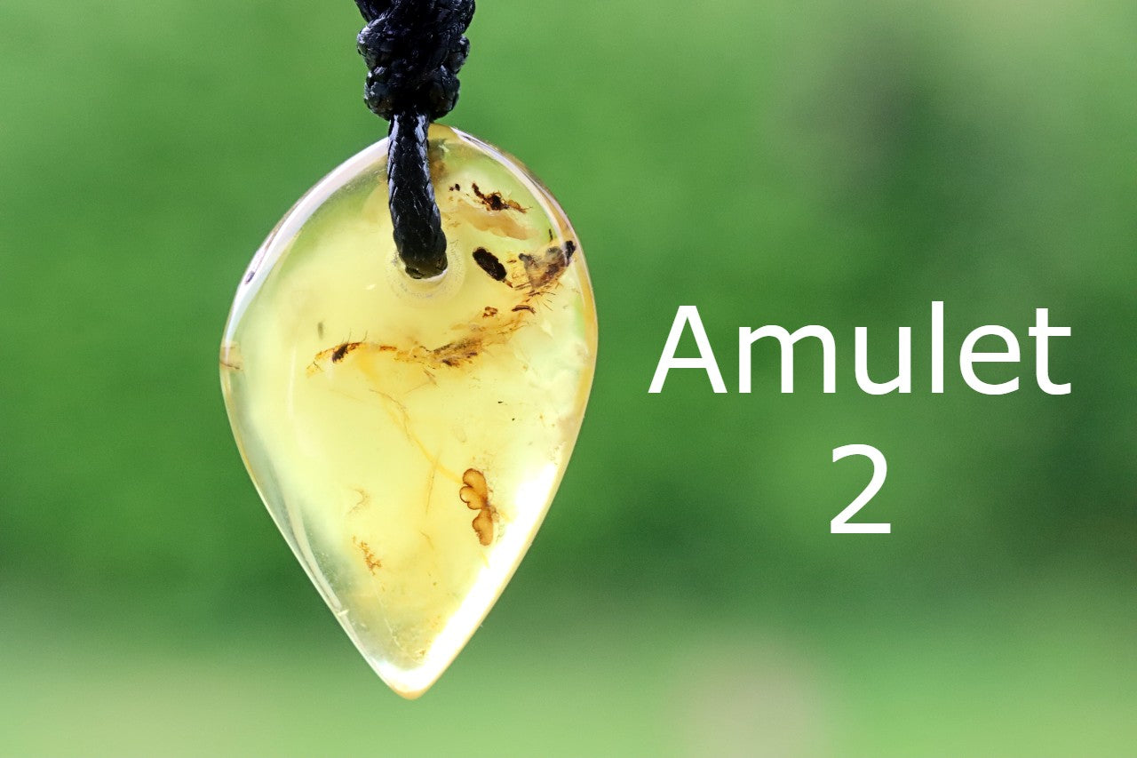 2 Amber Amulet Pendants