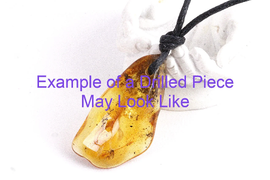 Special Offer  All 3 Insect Inclusions included Pieces in the Price