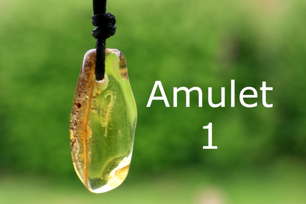 2 X Amber Amulet Gift Pair to Share