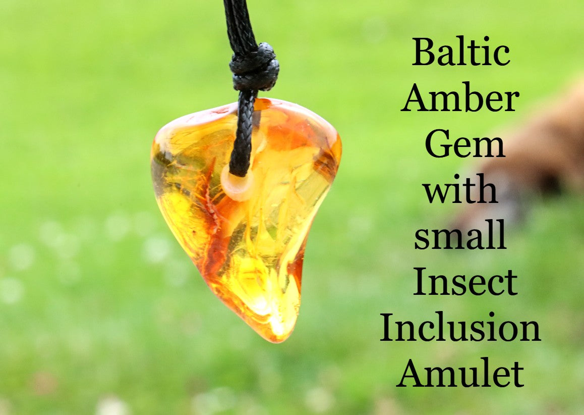 A Baltic amber gem pendant with a small insect inclusion, hanging on a black cord against a blurred green outdoor background, with text on the right reading 'Baltic Amber Gem with small Insect Inclusion Amulet'.