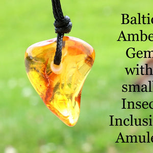 A Baltic amber gem pendant with a small insect inclusion, hanging on a black cord against a blurred green outdoor background, with text on the right reading 'Baltic Amber Gem with small Insect Inclusion Amulet'.