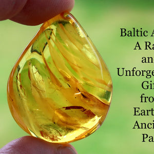 Teardrop-shaped Baltic Amber held between fingers with text on a blurred green background