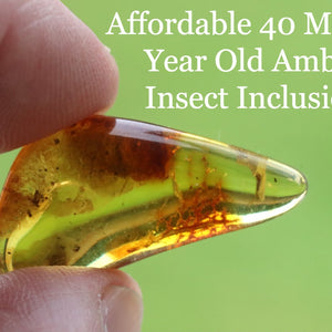 A small, polished piece of amber stone with a claim that it is 40 million years old and includes an insect.