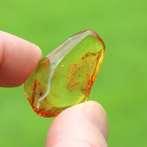 A hand holding a polished, irregular-shaped amber stone with internal inclusions, set against a vibrant green blurred background.
