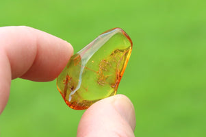 A hand holding a polished, irregular-shaped amber stone with internal inclusions, set against a vibrant green blurred background.