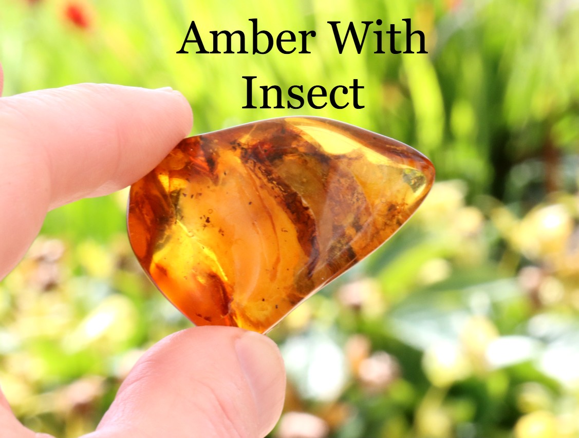 Amber stone with an embedded insect held by a hand against a blurred natural background