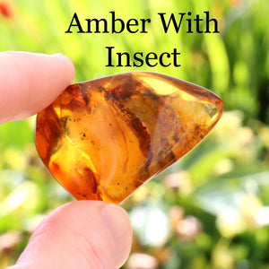 Amber stone with an embedded insect held by a hand against a blurred natural background