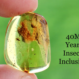 Transparent amber with an insect inclusion held by a hand against a green background