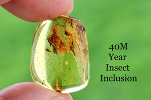 Transparent amber with an insect inclusion held by a hand against a green background