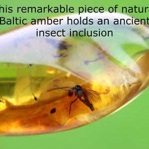 Authentic Fossil Amber Gem