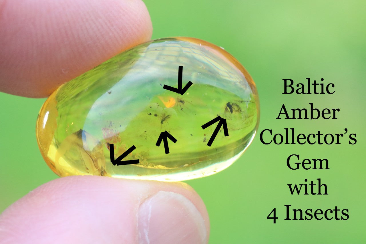 Baltic Amber gem with embedded insects held between fingers against a green background