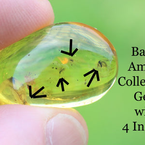 Baltic Amber gem with embedded insects held between fingers against a green background