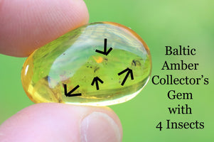Baltic Amber gem with embedded insects held between fingers against a green background
