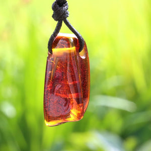 A polished amber pendant with a black cord, suspended against a blurred green outdoor background.