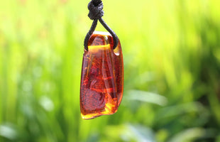 A polished amber pendant with a black cord, suspended against a blurred green outdoor background.