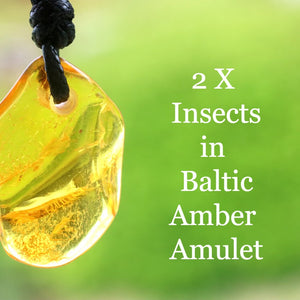 Baltic Amber amulet with insects on a blurred green background