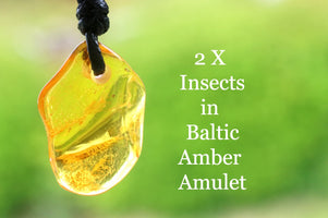 Baltic Amber amulet with insects on a blurred green background