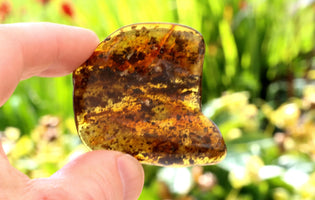 Hand holding a heart-shaped piece of amber with a blurred natural background
