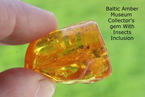 Baltic Amber Gem with Insect Inclusion