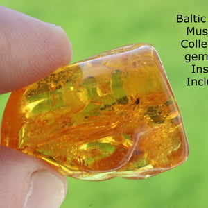 Baltic Amber Gem with Insect Inclusion