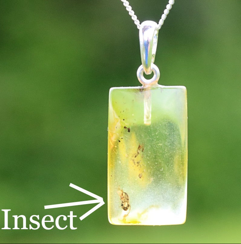 Baltic Amber Insect Pendant