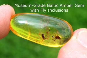 But trapped in Amber Gem with Fly Inclusions held between fingers against a green background