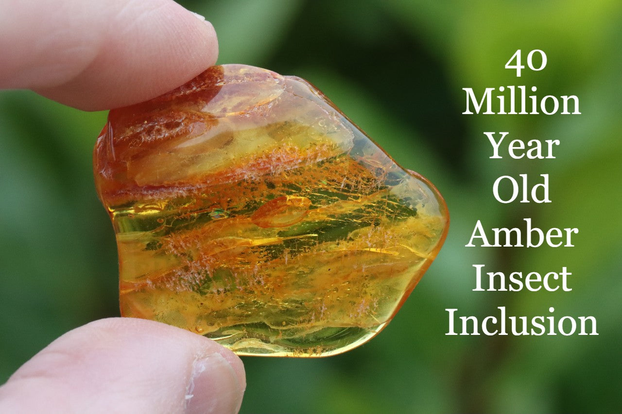 Amber gem held in 2 fingers against a green natural background