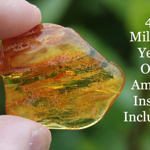 Amber gem held in 2 fingers against a green natural background