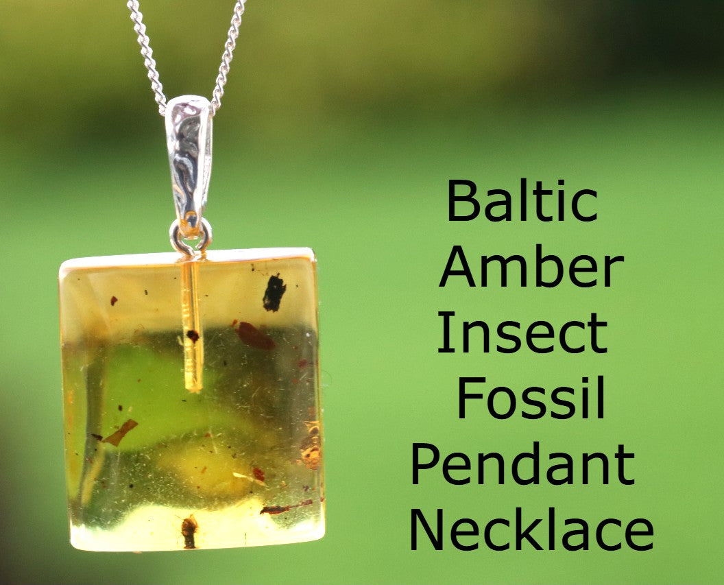 Clear Amber pendant with visible inclusion