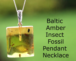 Clear Amber pendant with visible inclusion