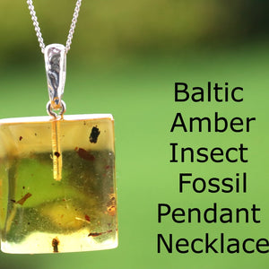 Clear Amber pendant with visible inclusion