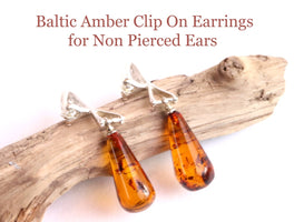 Baltic Amber Clip On Earrings for Non Pierced Ears on a wooden branch with text above.