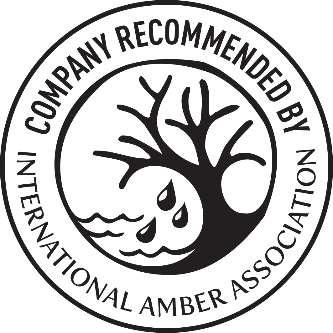 Unique Baltic Amber with Spider Inclusion