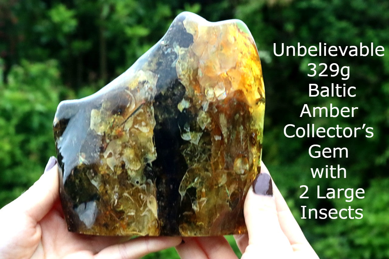 Baltic Amber Collector's Gem held by hands showing colour variations 