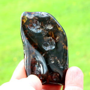 A hand holding a polished dark brown and black stone with natural inclusions, set against a blurred green grass background.
