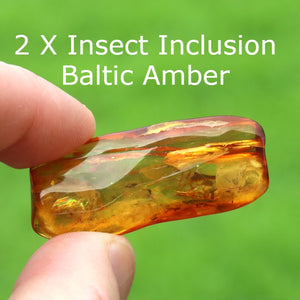 A hand holds a polished Baltic amber stone with two insect inclusions against a bright green blurred background. White text at the top reads '2 X Insect Inclusion Baltic Amber'.