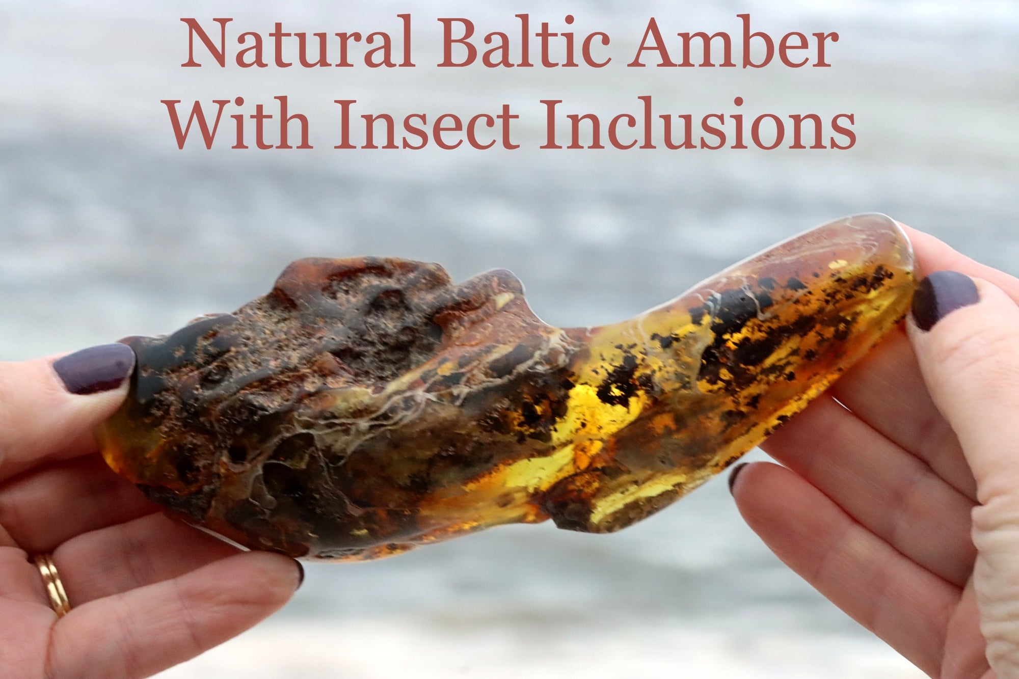 Fascinating Baltic Amber Gem With 2 Inclusions