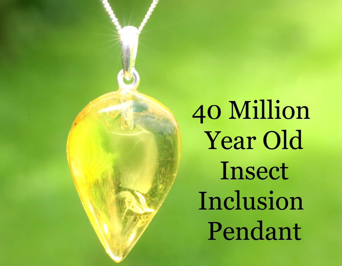 Amber pendant with insect inclusion on a green background