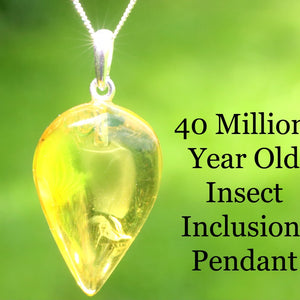 Amber pendant with insect inclusion on a green background