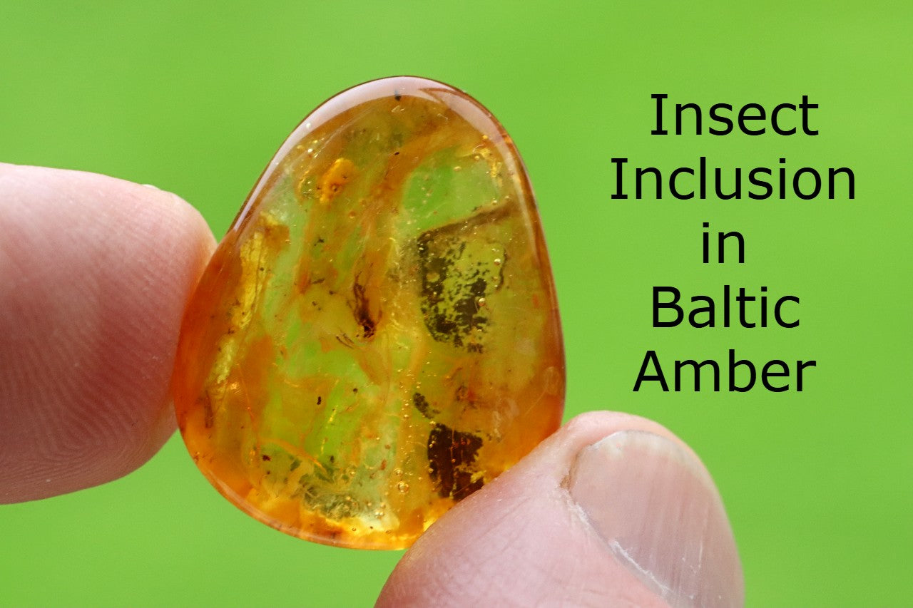 Amber with insect inclusion held between fingers against a green background