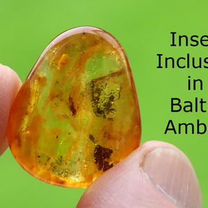 Amber with insect inclusion held between fingers against a green background