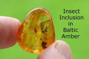 Amber with insect inclusion held between fingers against a green background