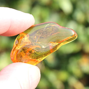 A hand holding a small, polished translucent amber stone with orange and yellow tones against a blurred green outdoor background.