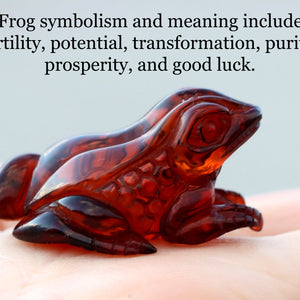 Details of frog symbolism