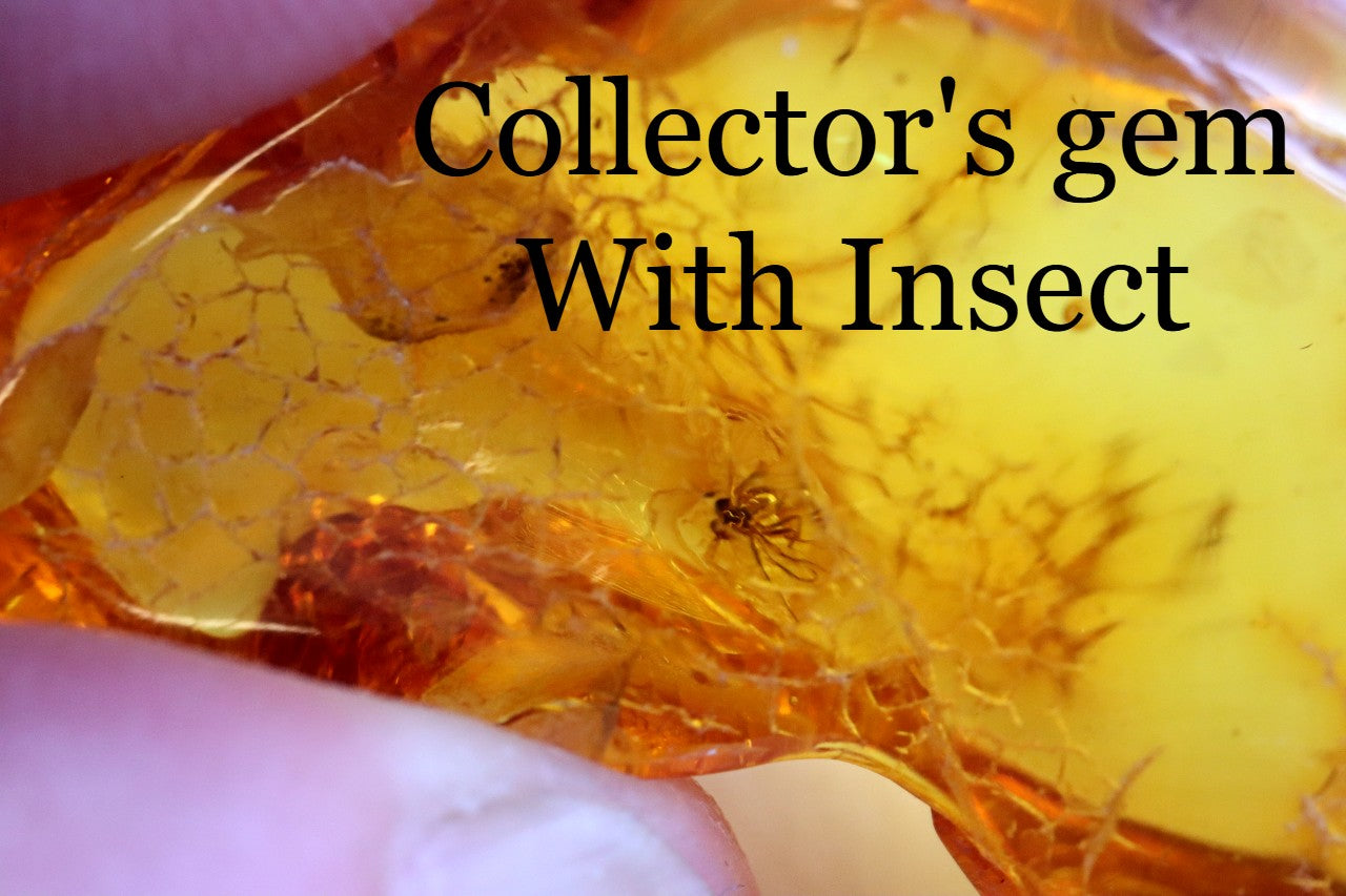 A piece of natural Baltic amber with insect inclusions, held in hand.