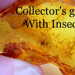 A piece of natural Baltic amber with insect inclusions, held in hand.